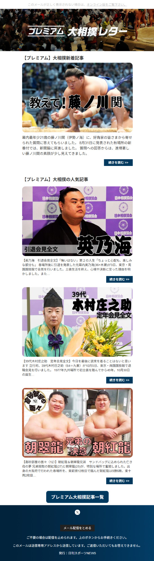 ニュースレターサンプル