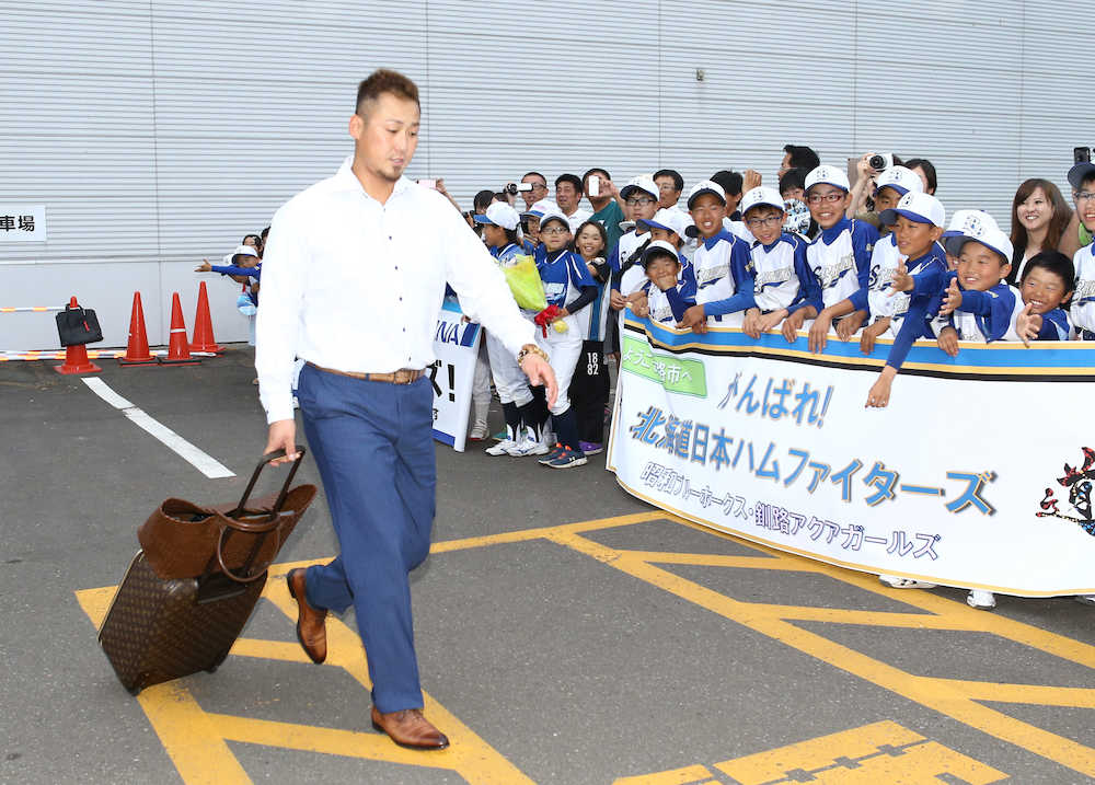 【画像・写真】ハム　濃霧で道内ドタバタ移動　一度引き返し…中田「しんどいよ」