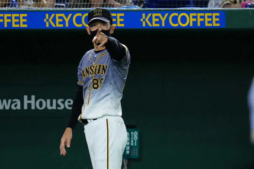 【画像・写真】甲子園　昼は高校、夜はプロ　31日以降に順延なら初の同日開催へ　芝メンテできなくても矢野阪神全面協力