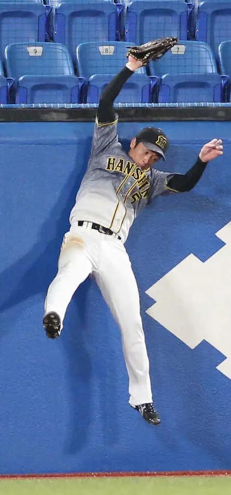 【画像・写真】阪神・近本、初回から秋山救うスーパーキャッチ！　フェンス際への大飛球をジャンプ一番