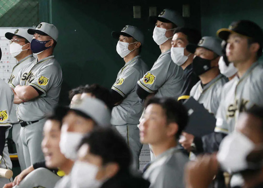 【画像・写真】阪神・井上ヘッドC　本拠地での巻き返し誓う「甲子園で出直し、と選手個々にも伝えた」