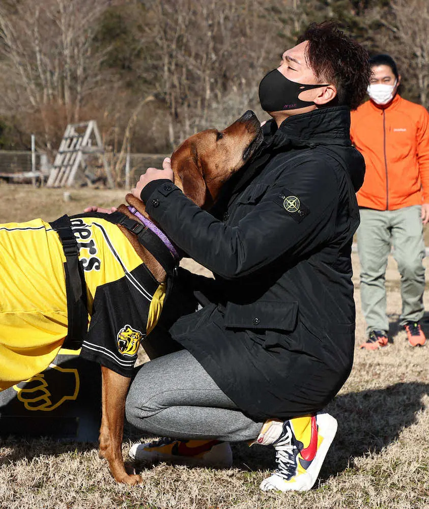 【画像・写真】阪神・秋山は“愛犬”のため…“使命”のため…腕を振り続ける