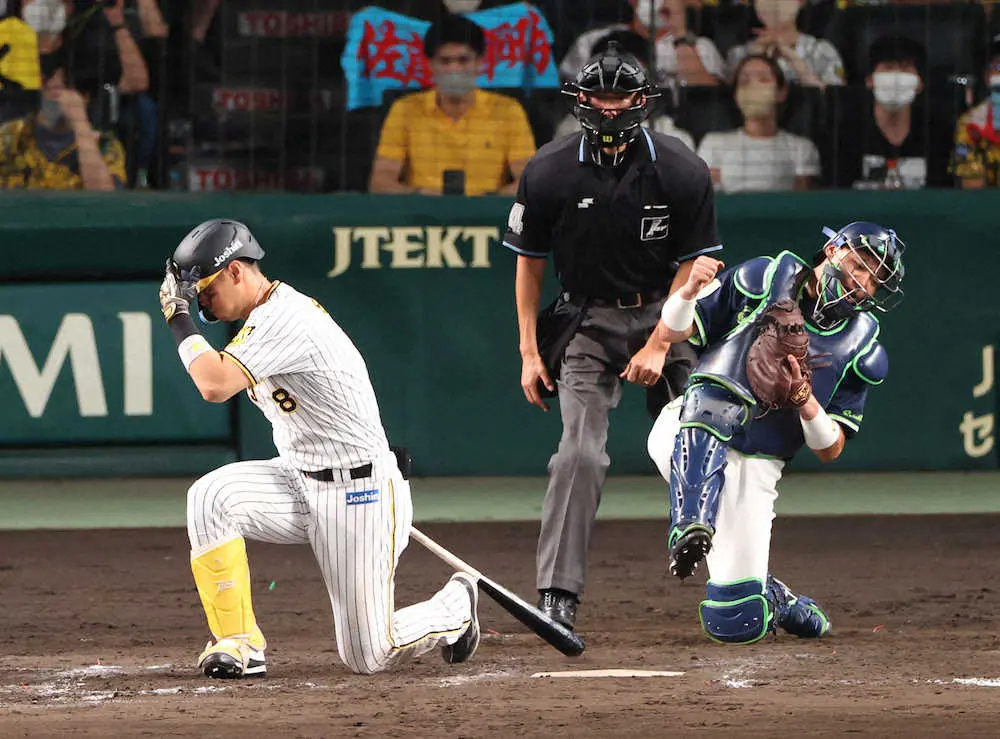 【画像・写真】阪神　26度目零敗で球団ワースト更新　悪送球また悪送球…7年連続でシーズン80失策超える