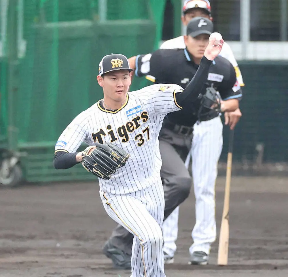 【画像・写真】【内田雅也の追球】左投げは「こうなる」の意味　岡田野球に通じる「ワン・シュア」の精神は徹底している