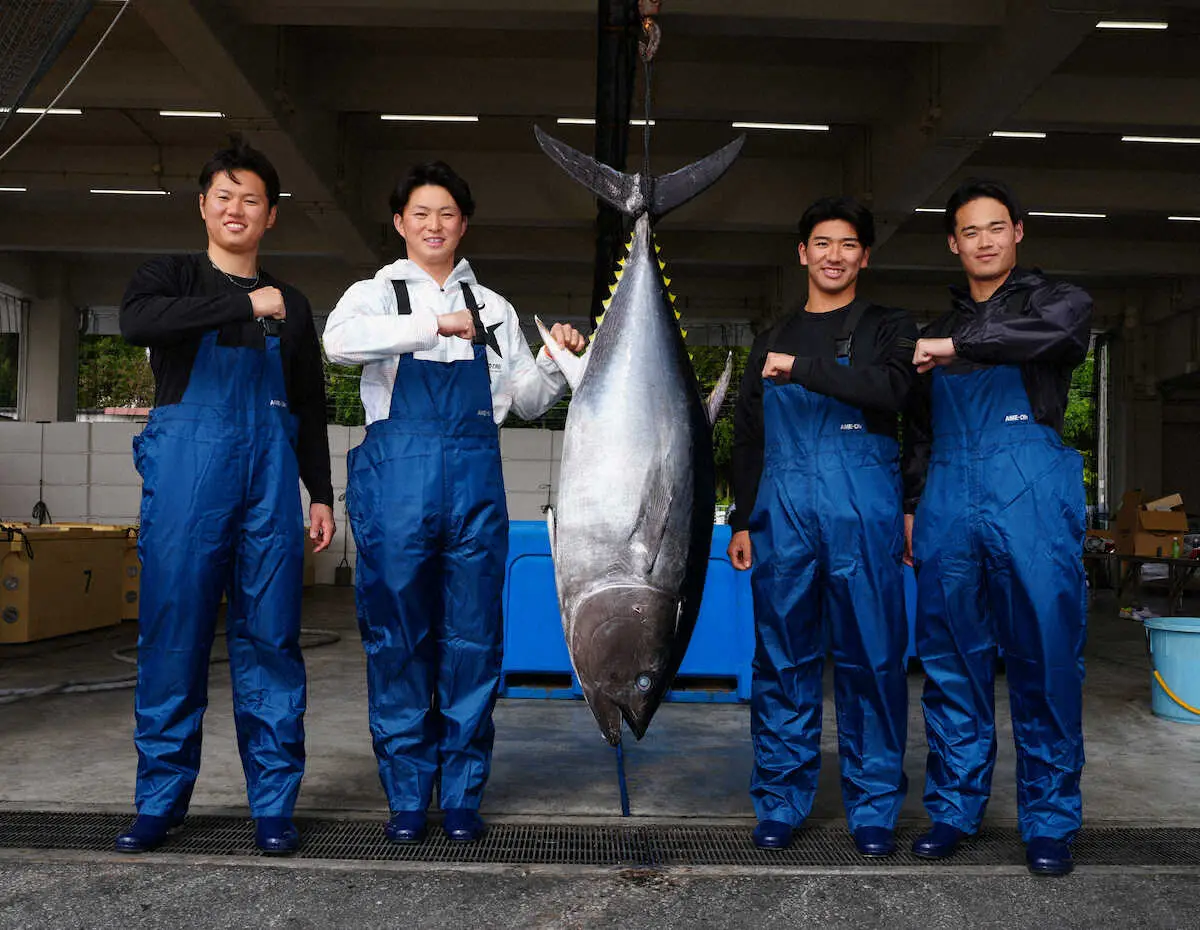 【画像・写真】DeNA新人4選手がマグロ餌やり体験　ドラ1竹田「楽しい一日」ドラ4若松「“マグロストレート”を」