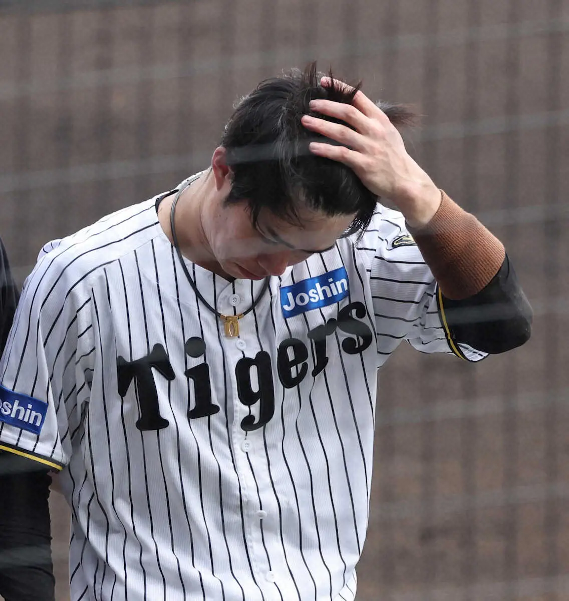 【画像・写真】阪神・中野　診断は「頭部打撲」22日ソフトバンク戦で津森から頭部死球受け