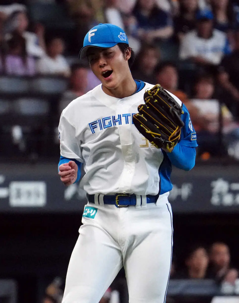 【画像・写真】日本ハム・柴田　幼少期は「人前に出るのが苦手」　強心臓へと「野球が変えてくれた」