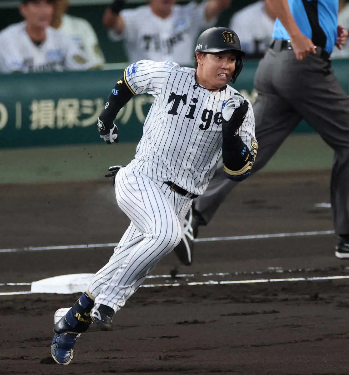 【画像・写真】阪神　梅野隆太郎が2番で2安打躍動「応援してくれるファンの前で1本でも多く」底力見せつけた