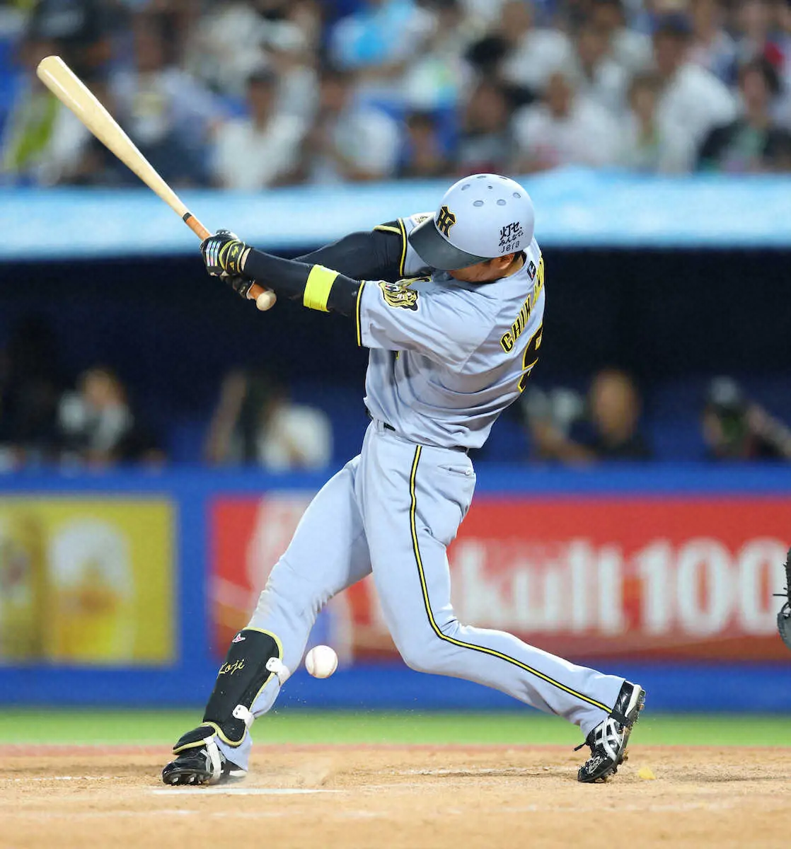 【画像・写真】阪神・近本が途中交代　3回の第2打席で自打球　藤川監督が説明「そういう報告を聞いている」