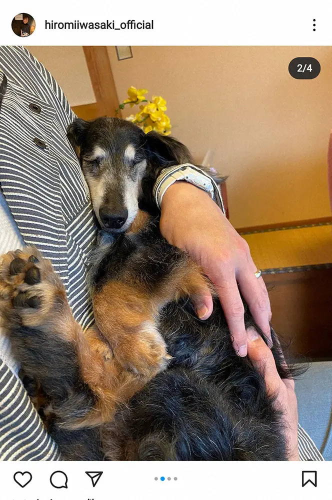 【画像・写真】岩崎宏美　17年と8カ月過ごした愛犬との別れ報告「私も夫も、かなり参っていますが頑張ります」