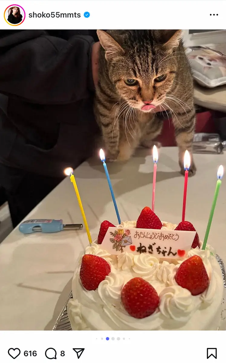 【画像・写真】第1子妊娠中の中川翔子　実家の愛猫・ねぎちゃんとの別れ「突然すぎて、ショックです」「悲しいよ」