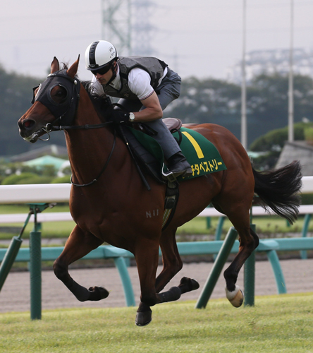 【画像・写真】【スプリンターズＳ】“香港の刺客”リッチ　ルメール手応え「さすが」