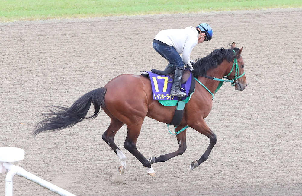 【画像・写真】【天皇賞・春】レインボーライン、大波に乗りたい　馬場は不問