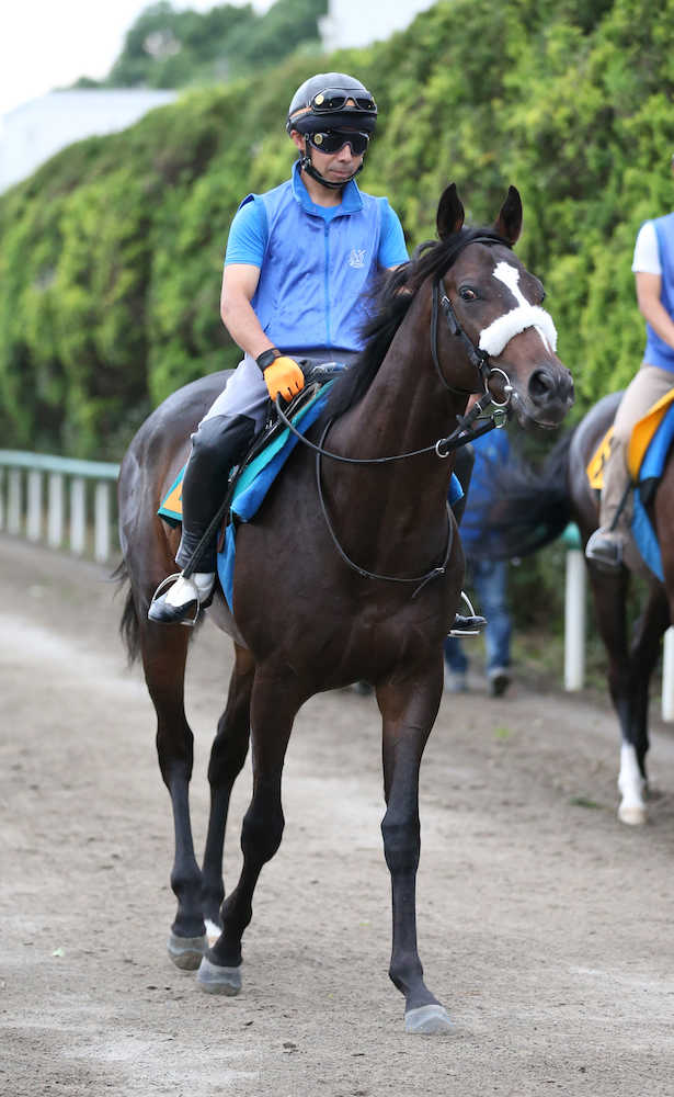 【画像・写真】【福島新馬戦】ロジャーズクライ　国枝師「いいもの持ってる」
