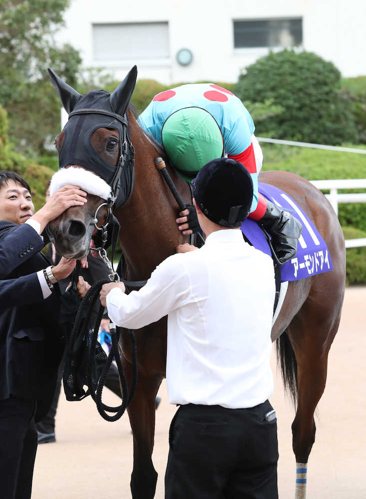 【画像・写真】【秋華賞】シルク米本代表　アーモンドで初勝利「世界を視野に」