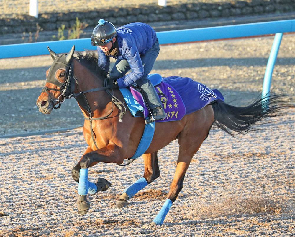 【画像・写真】【有馬記念】アーモンドアイ、ファン投票1位　出走前向き