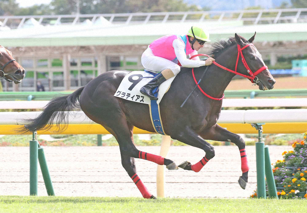 【画像・写真】【東京新馬戦】グラティアス　1番人気に応えV　ルメール「能力ありそう」