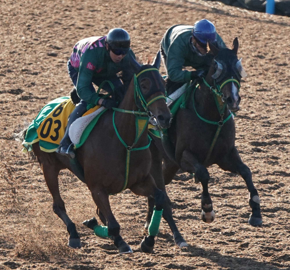 【画像・写真】【京王杯2歳S】オリアメンディ兄姉を超える活躍を信じて
