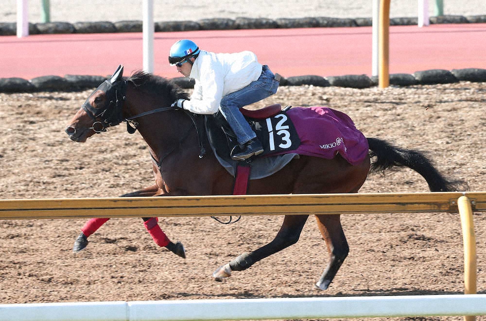 【画像・写真】【京王杯2歳S】モントライゼ勢い乗るルメールと初コンビ