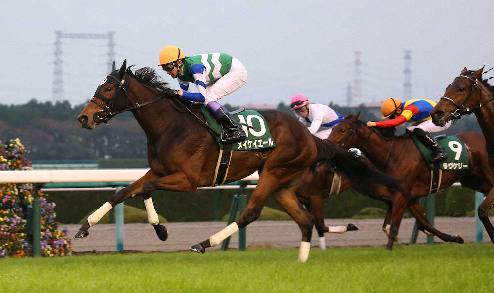 【画像・写真】【ファンタジーS】メイケイエール　2歳レコードVで無傷3連勝!武豊も驚き「相当、能力がある」