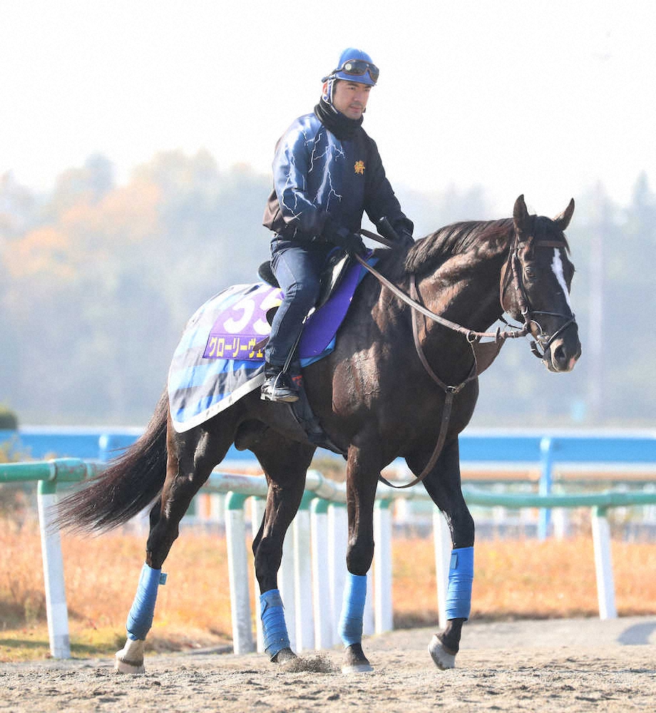 【画像・写真】【ジャパンC】グローリーヴェイズ“3強打破”に闘志!初東京は好舞台「この馬に合う」