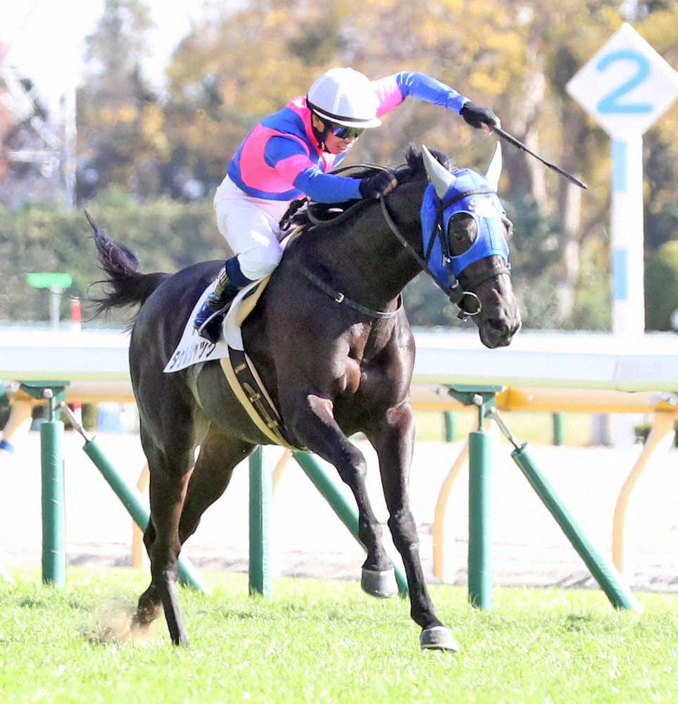 【画像・写真】【東京新馬戦】タケルジャック快勝!清水久師「デビュー戦としては文句なし」