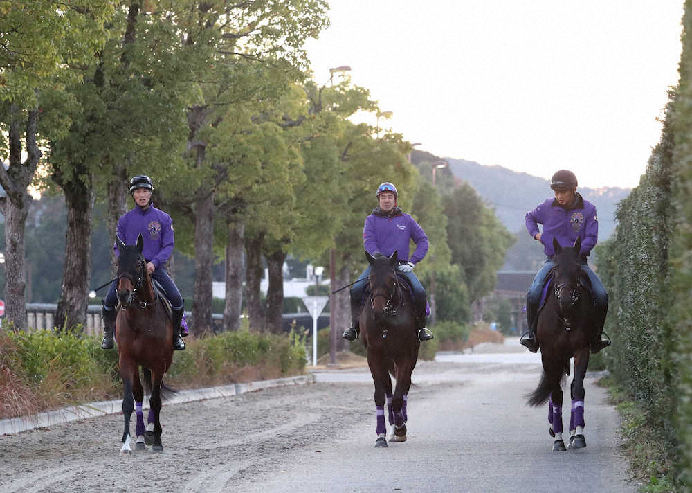 【画像・写真】【ジャパンC】ワールドプレミア、久々実戦も馬体成長　結婚オーナーへ祝福のV届ける