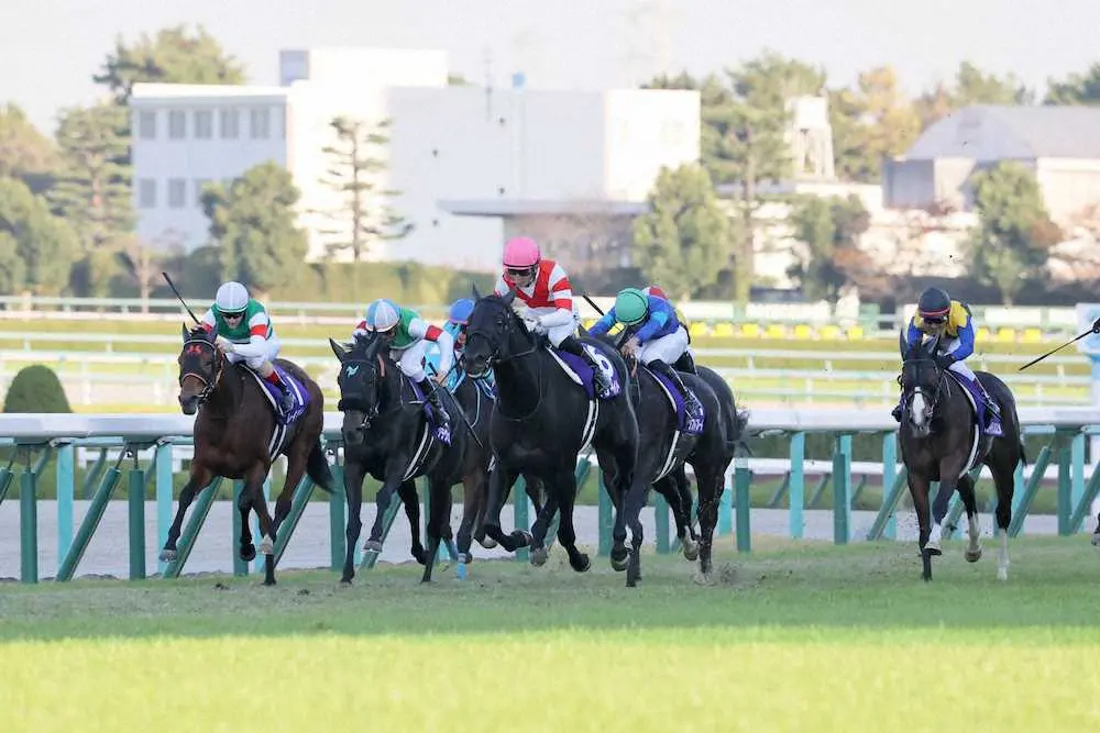 【画像・写真】【エ女王杯】こちらはエピファネイア産駒　クラヴェル3着　横山典「いい仕事ができた」