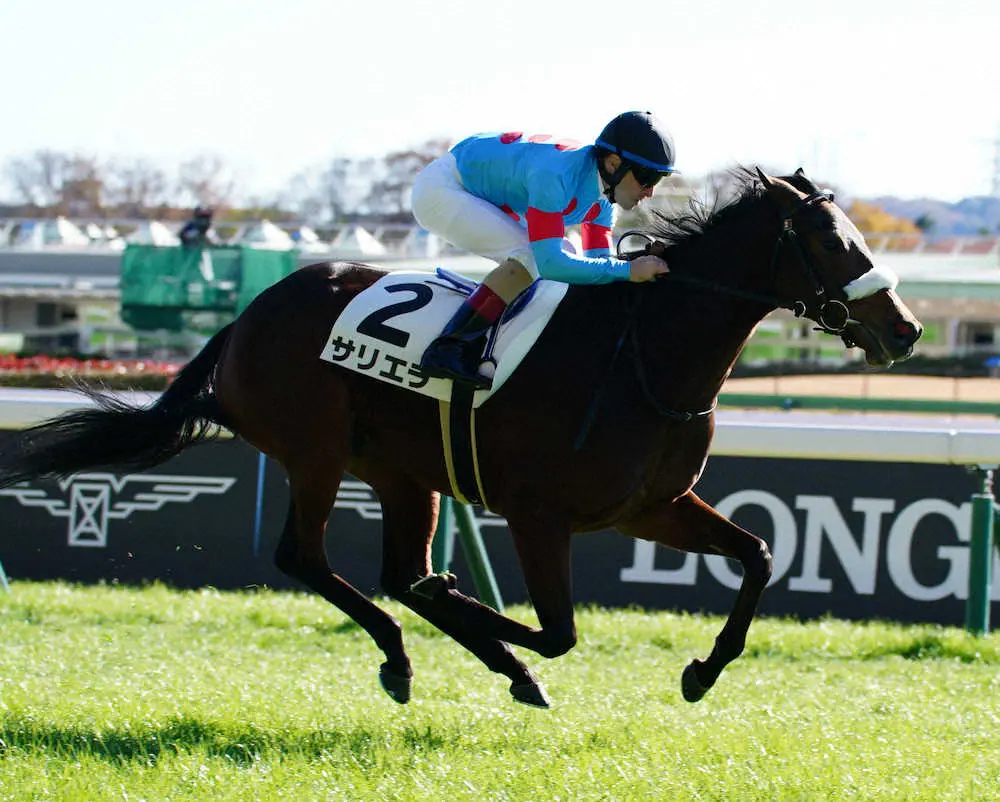 【画像・写真】【東京・2歳新馬戦】良血サリエラが逃げ切り勝ち 　ルメール「いい反応をしてくれた」