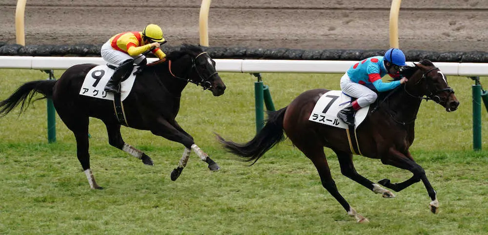 【画像・写真】【東京3歳1勝クラス】ラスール、断然1番人気に応え完勝　ルメール「大人になった」