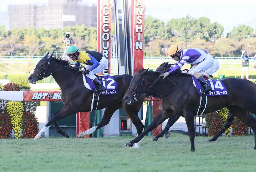 【画像・写真】秋華賞馬アカイトリノムスメが引退　9日の阪神牝馬S馬場入場時に競走除外、右第3趾骨骨折