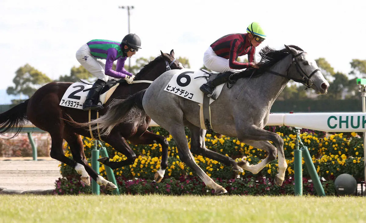 【画像・写真】【中京5R新馬】ヒメナデシコがV　岩田望「抜け出した脚は良かった」