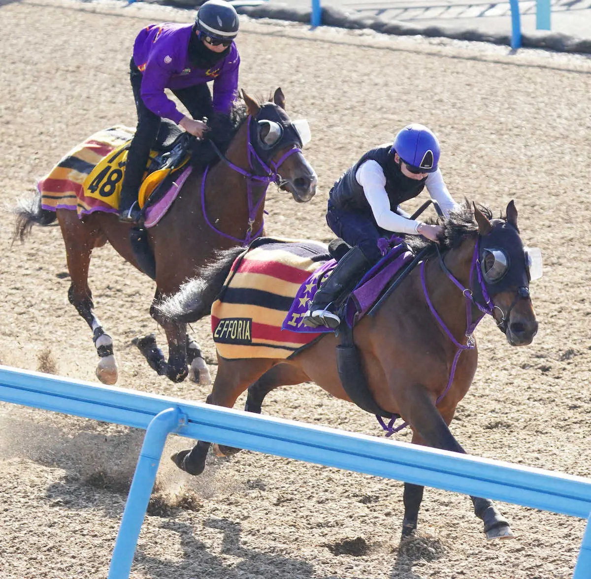 【画像・写真】横山武を背に併せで追い切るエフフォーリア（手前）（撮影・村上大輔）