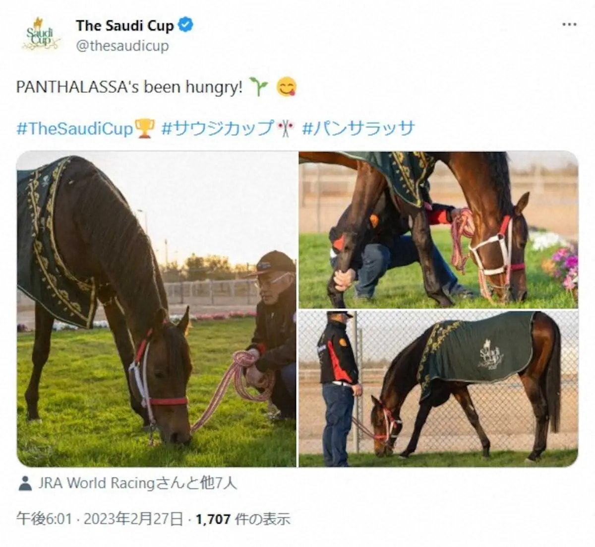 【画像・写真】サウジカップ歴史的Vのパンサラッサ、腹ペコで草をムシャムシャ　元気な姿を公式ツイッター伝える