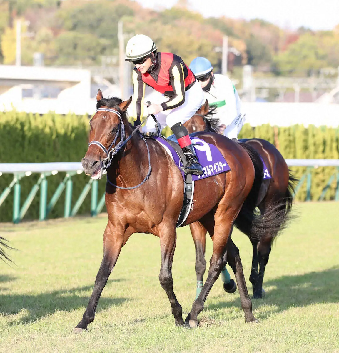 【画像・写真】21年NHKマイルC覇者シュネルマイスター　引退、種牡馬入り　マイルCS7着がラストラン
