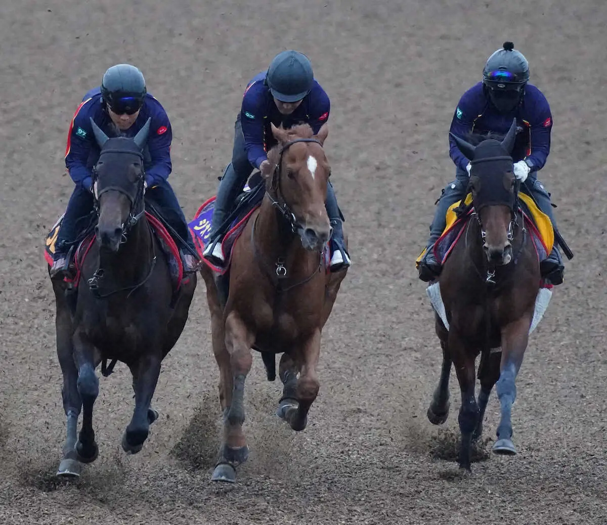 【画像・写真】3頭併せで追い切るジオグリフ（中）（撮影・村上大輔）