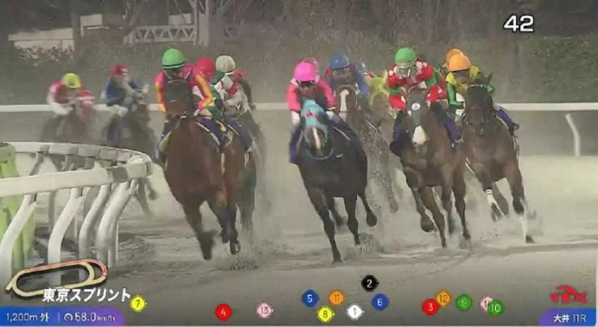 【画像・写真】大井競馬がトラッキングシステム導入　6月5日東京ダービーからスタート