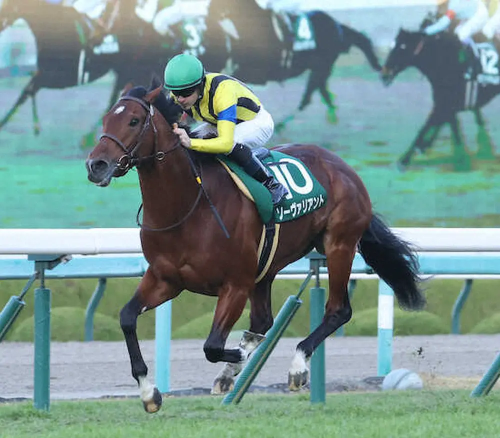 【画像・写真】重賞2勝馬ソーヴァリアント、左前肢第1指骨骨折が判明　社台HCで手術へ