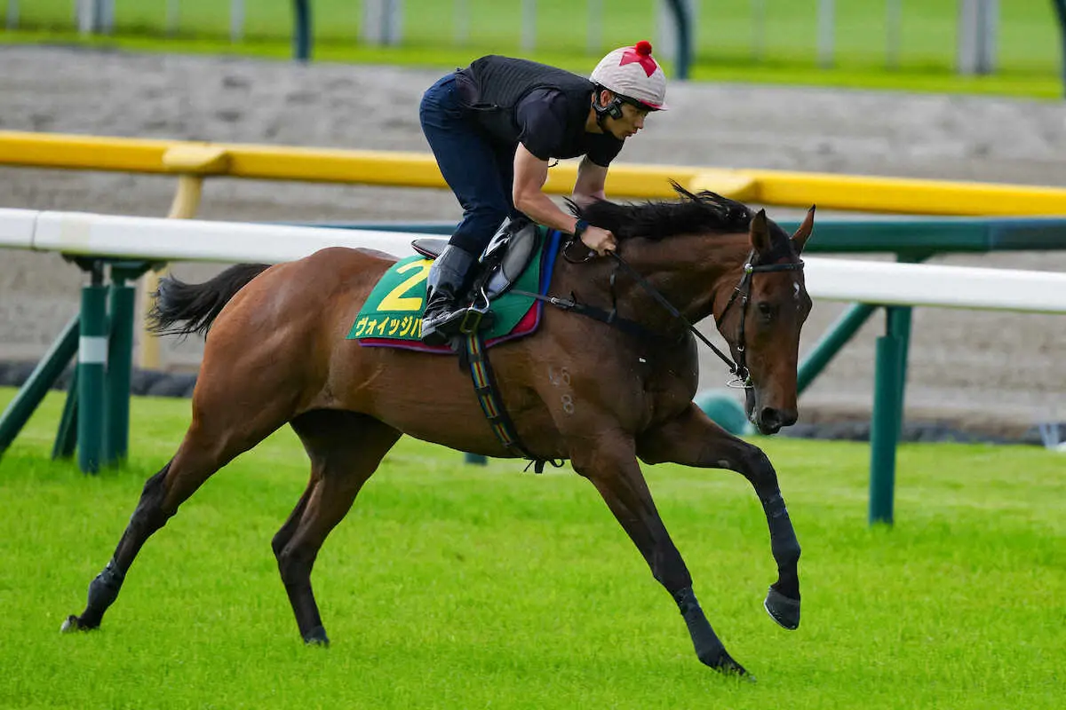 【画像・写真】【安田記念】香港馬ヴォイッジバブル、キャンターで1周　イウ師、好感触「コースや左回りにも慣れてきた」