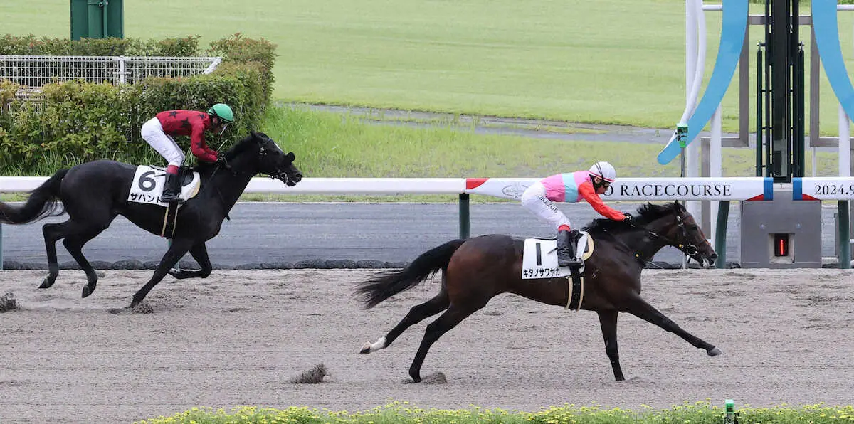 【画像・写真】【中京4R新馬】キタノサワヤカV　池添「いいモノを持っている」