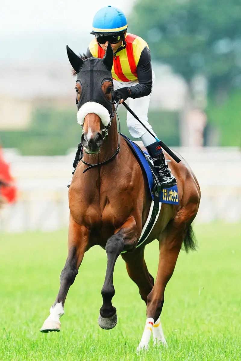 【画像・写真】【秋華賞を占う】直行の桜花賞馬ステレンボッシュ＆オークス馬チェルヴィニアの上位揺るがず