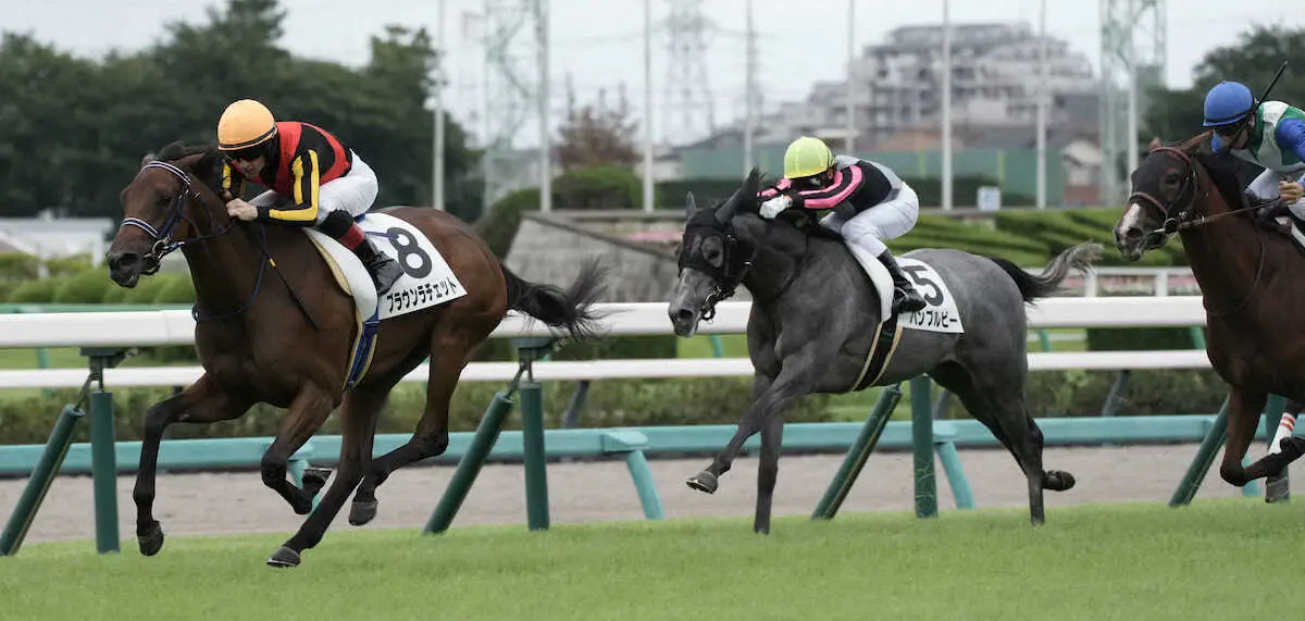 【画像・写真】【中山6R・2歳新馬】良血ブラウンラチェットが正攻法の競馬でデビューV　半兄にはフォーエバーヤング