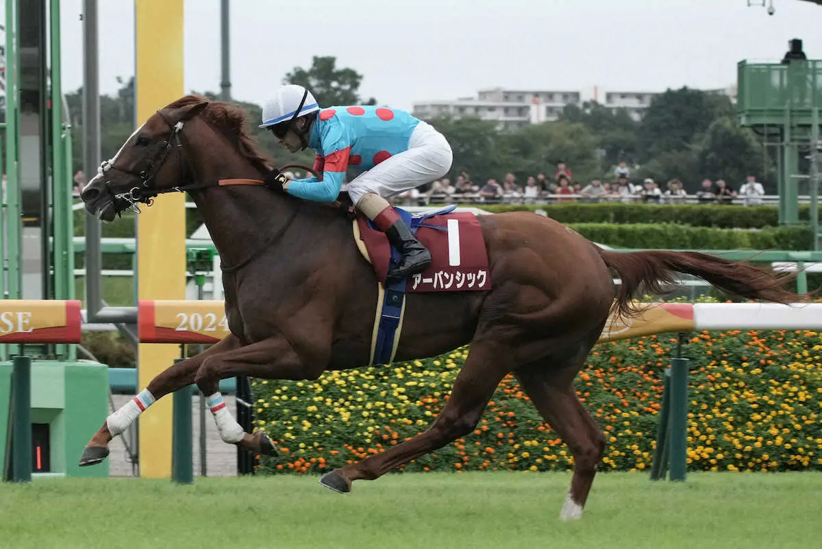 【画像・写真】WIN5歴代3位の低額配当1万140円、1番人気4連勝からセントライト記念は2番人気アーバンシックV