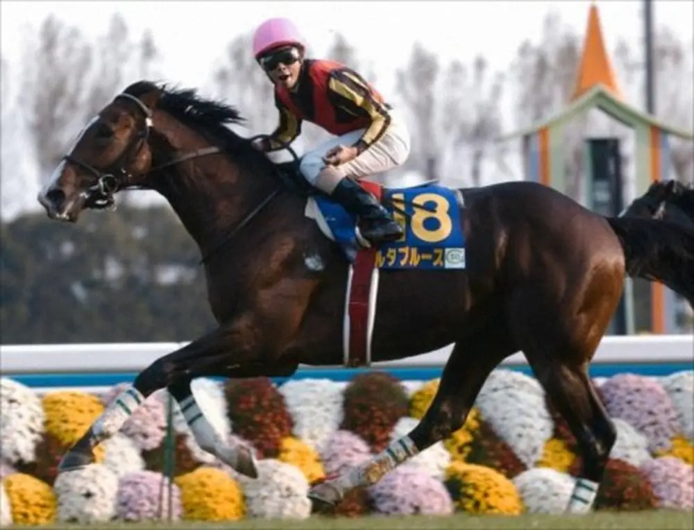 【画像・写真】04年菊花賞馬デルタブルースが死ぬ　23歳　06年メルボルンC制覇
