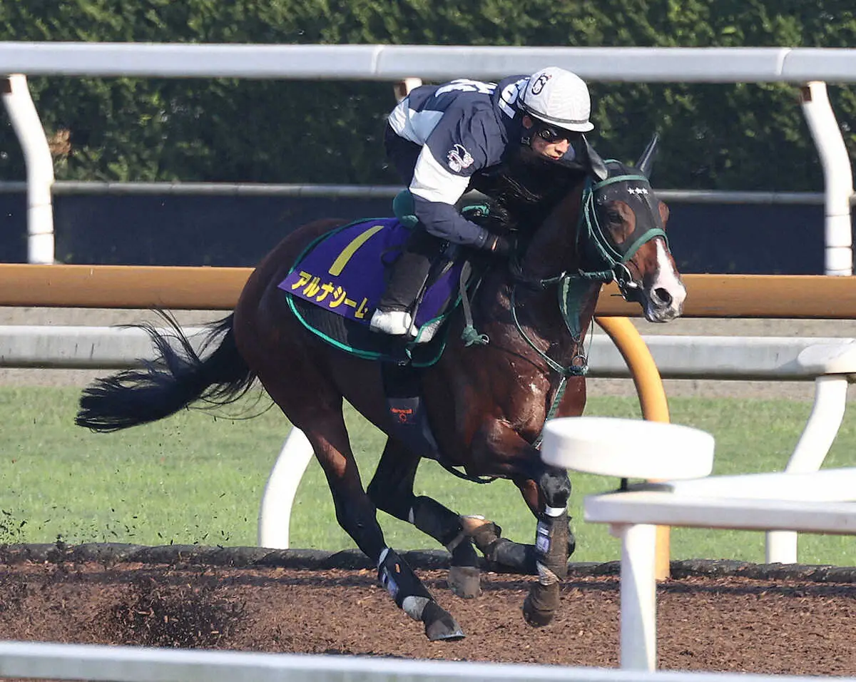 【画像・写真】藤岡佑介を背にCウッドを単走で追い切るアルナシーム