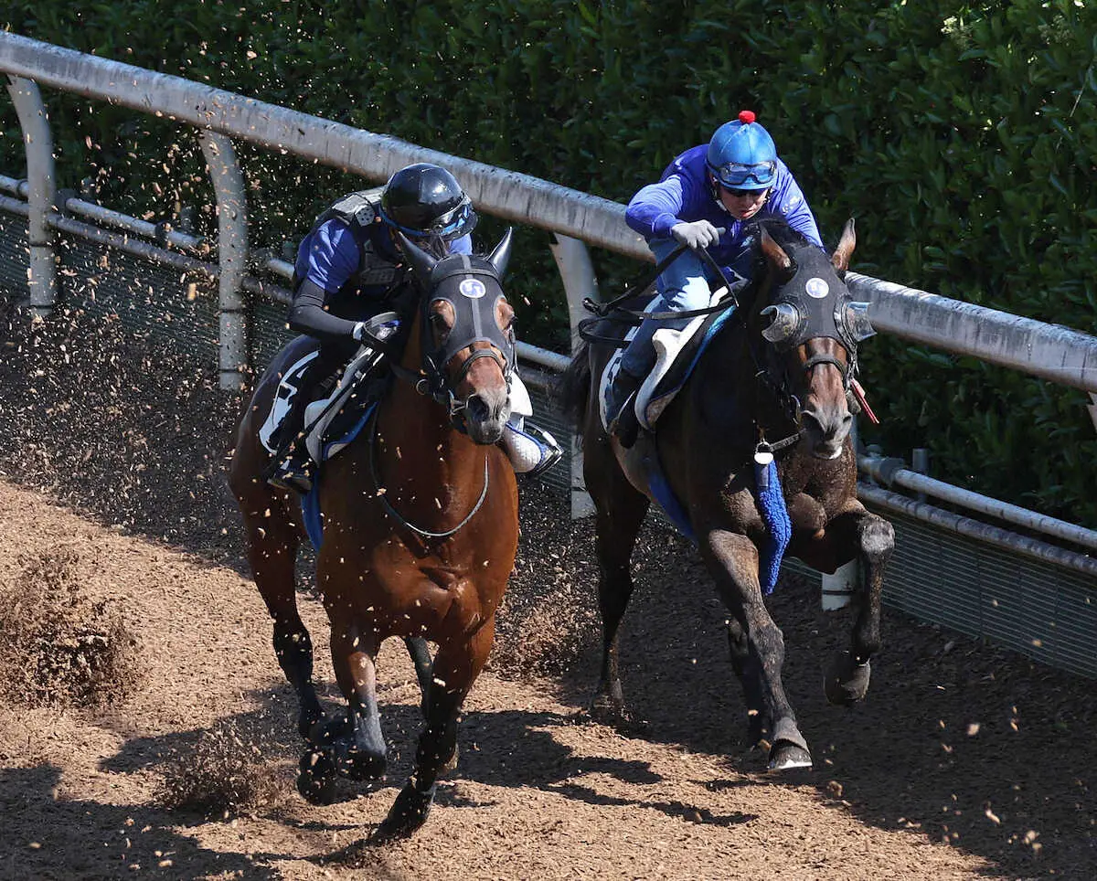 【画像・写真】重賞2勝馬ヴェルトライゼンデ　ルメートルと新コンビ結成　日経新春杯で復帰