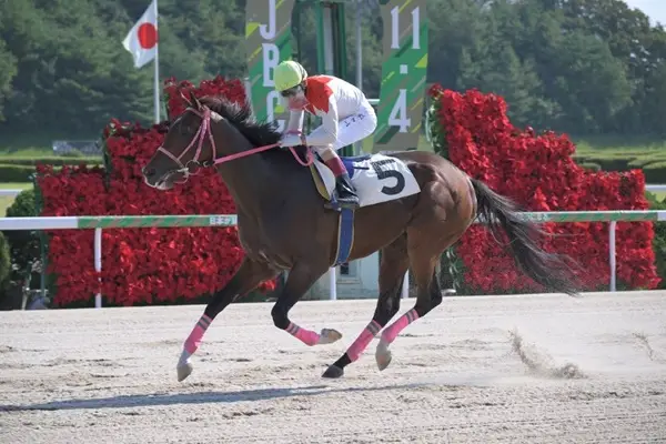 【画像・写真】【佐賀・向春特別】16日発走　ラインフォルテ連勝へ照準！　予想印を公開