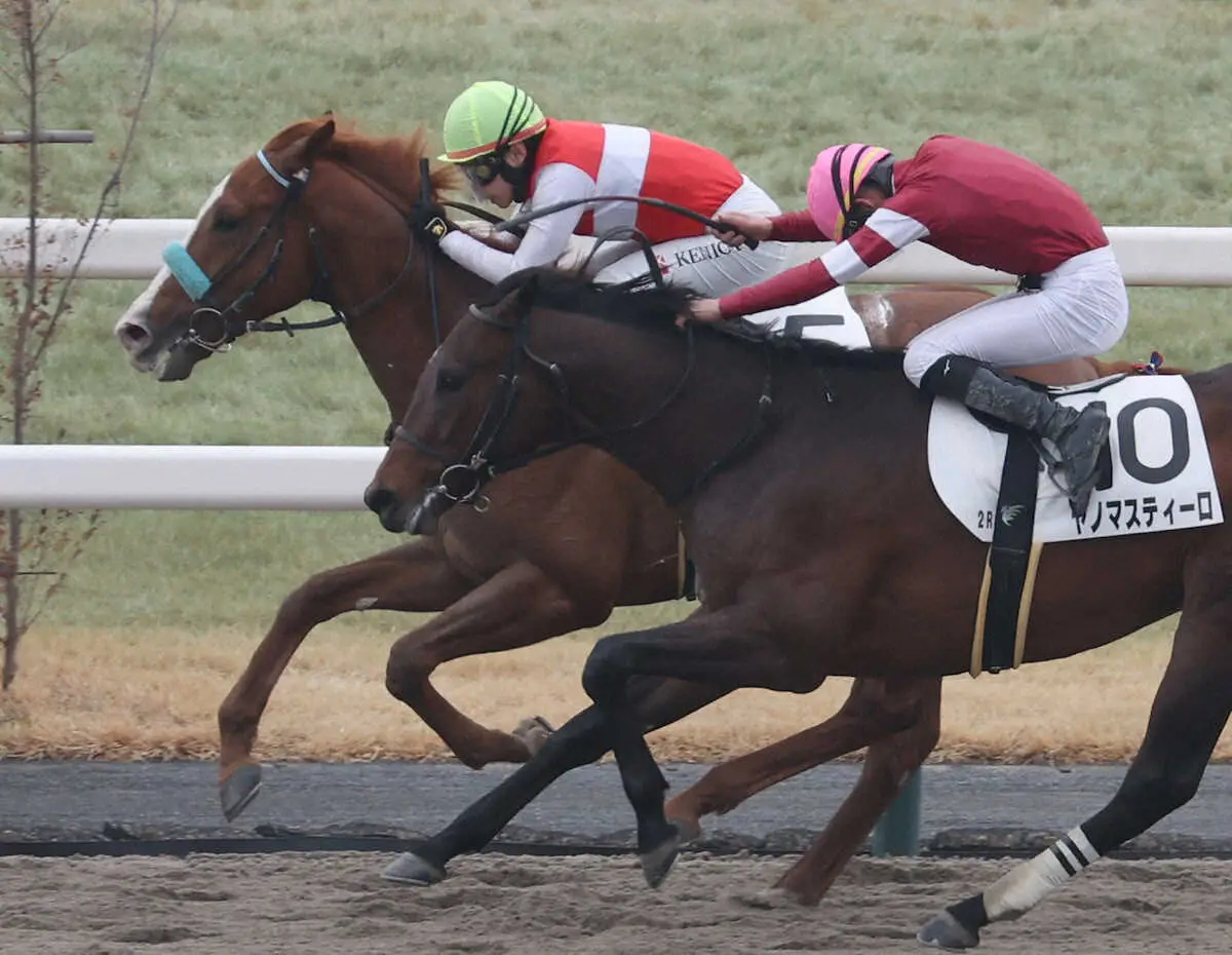 【画像・写真】【京都2R新馬】ショウナンサエッタV　池添「持っているものはいい」