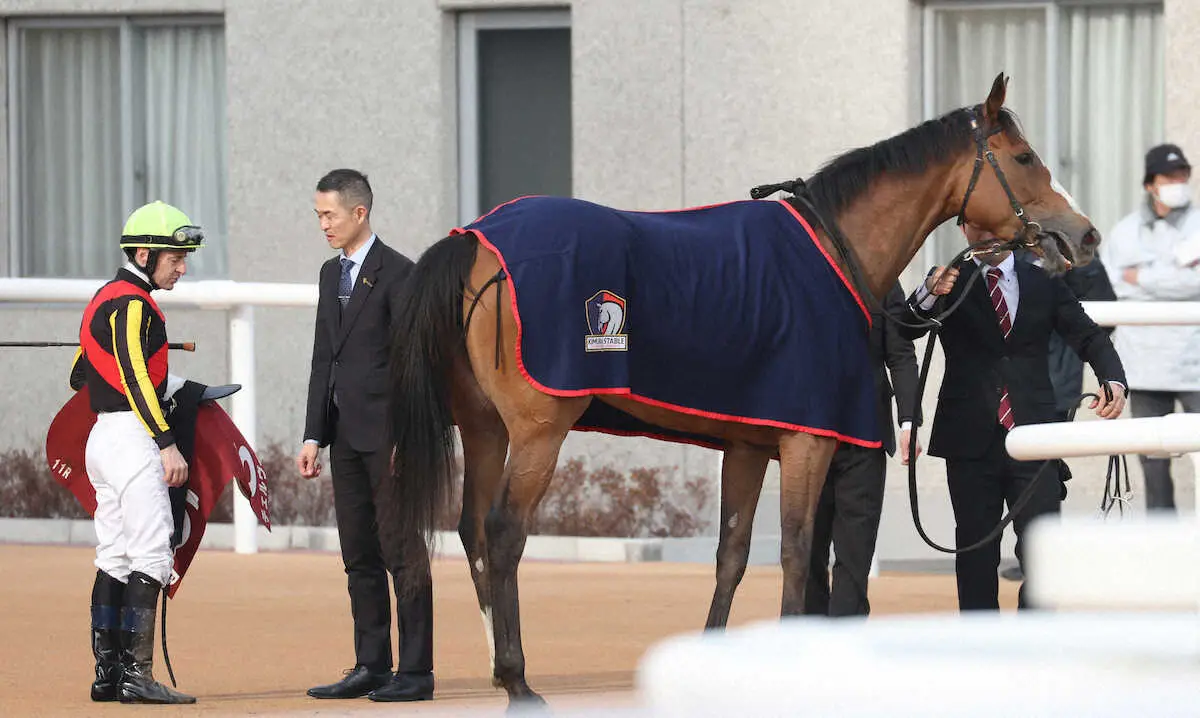 【画像・写真】【京都記念】2冠牝馬チェルヴィニア9着大敗のなぜ　ルメール「いろいろあったよ…」