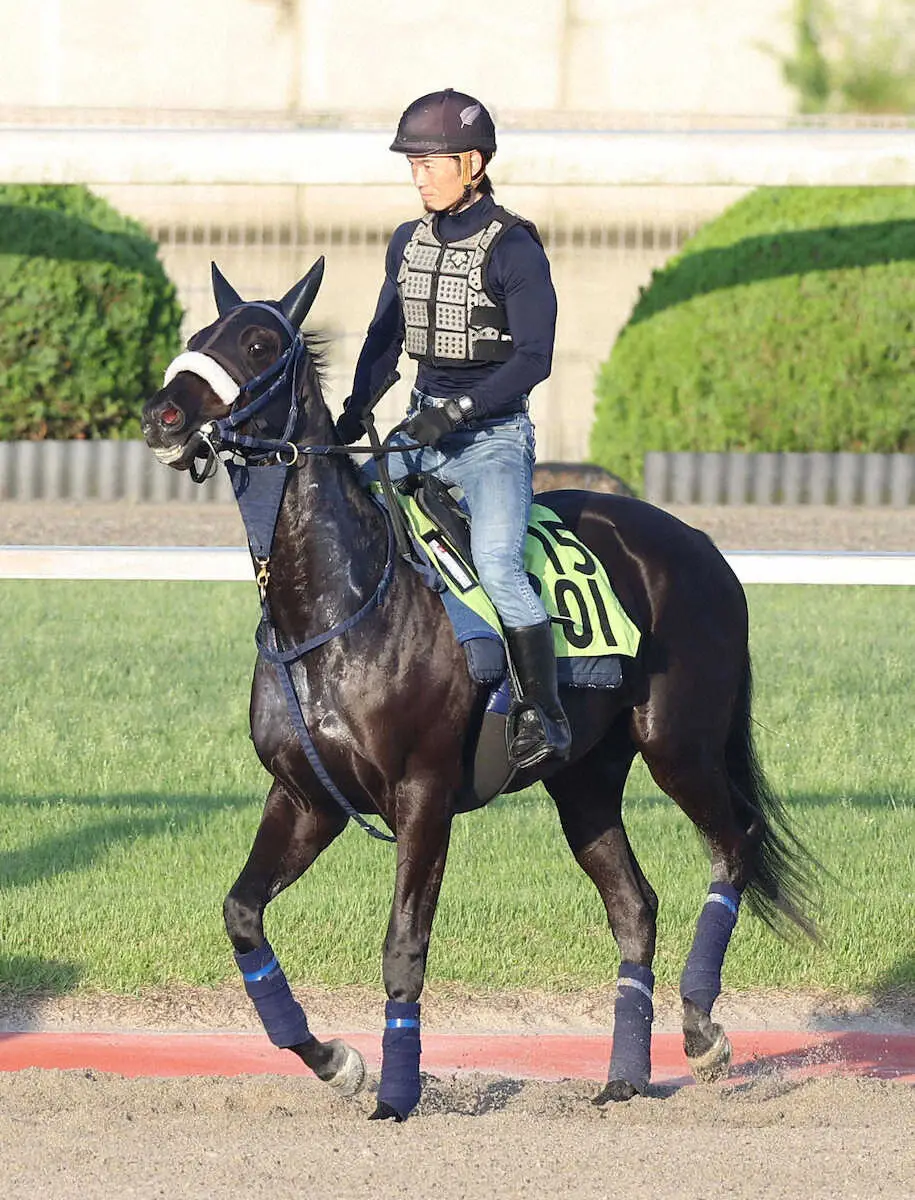 【画像・写真】馬場入りするオーロラボレアリス